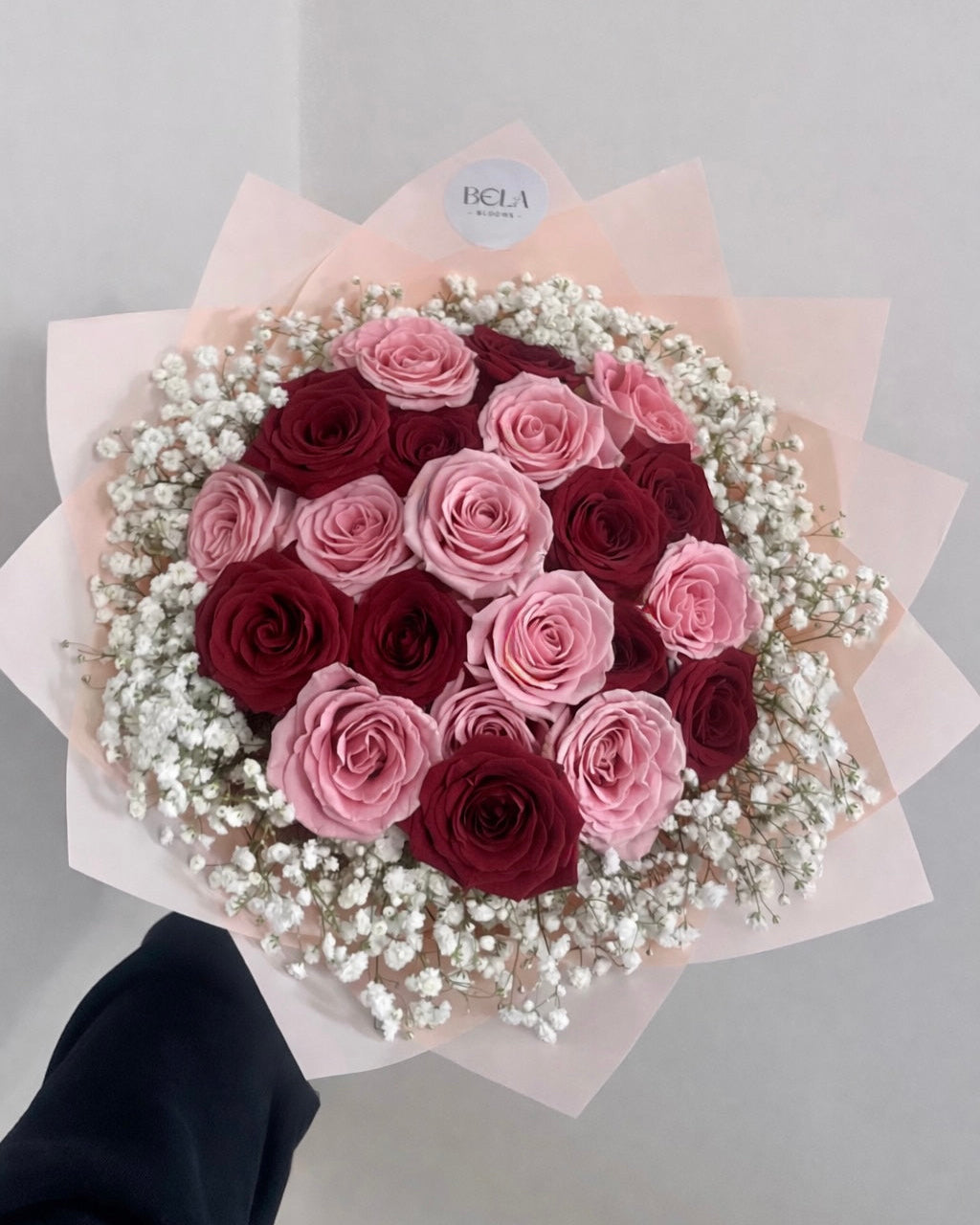 Red & Pink Rose