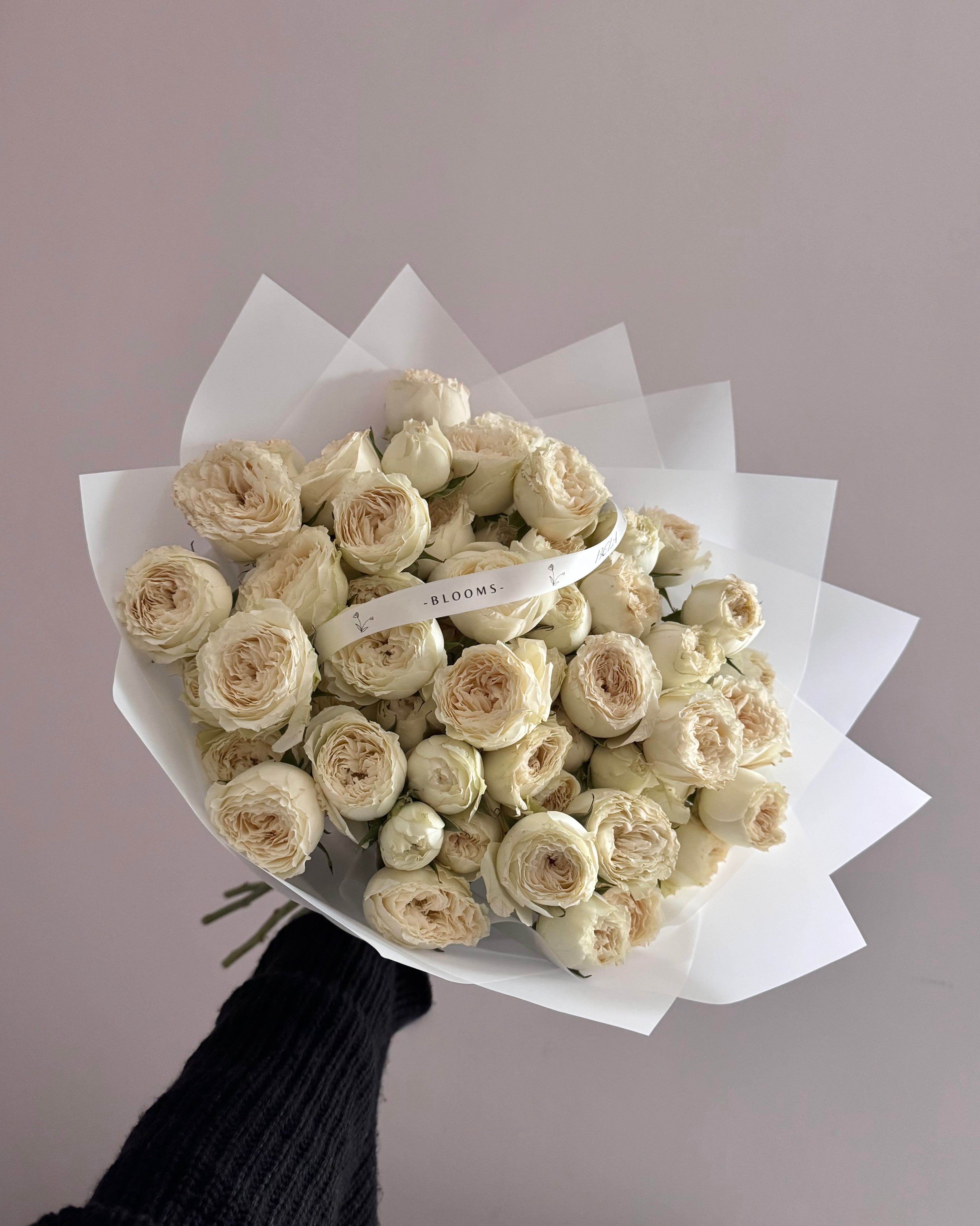 White Spray Rose